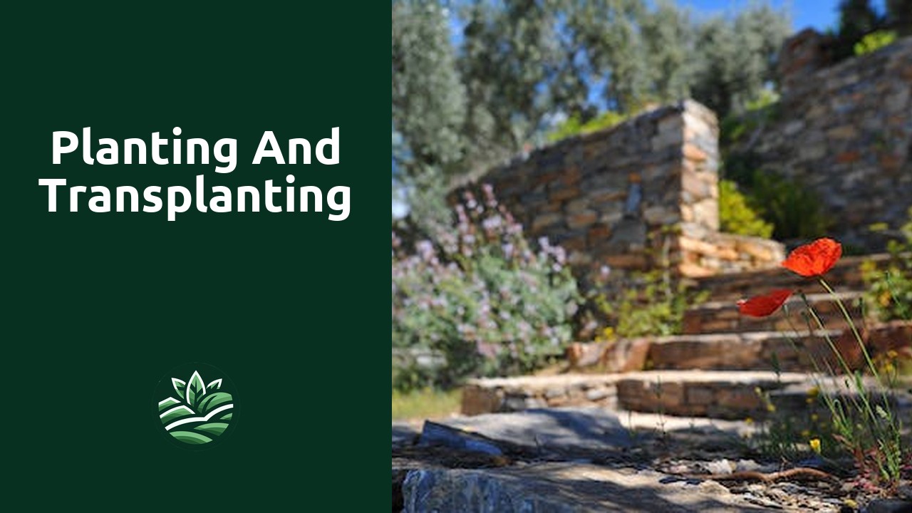 Planting and Transplanting